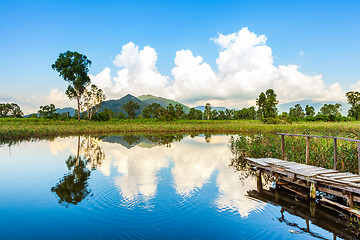 Image showing Wetlands and green forest