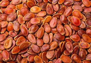 Image showing Dried red watermelon seed