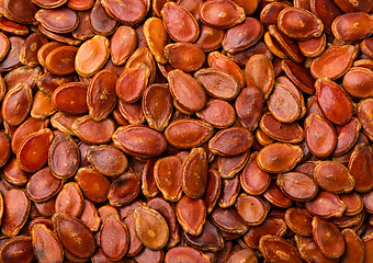 Image showing Red watermelon seeds 