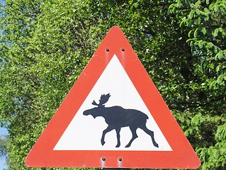 Image showing Road sign,beware of moose in the road