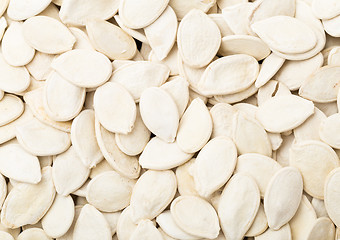 Image showing White Pumpkin seed