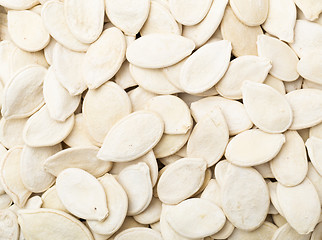 Image showing Pumpkin seeds