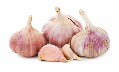 Image showing Garlic