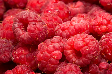 Image showing Raspberries