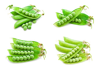 Image showing Pea