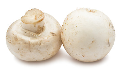 Image showing Champignon mushrooms