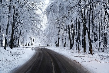 Image showing Winter Road