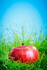 Image showing Apple on the grass