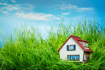 Image showing House on the green grass