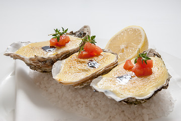 Image showing oysters with sauce and lemon on plate