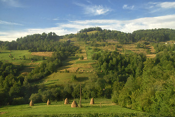 Image showing Summer mountains landscape in Carpathians, Ukraine