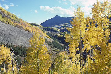 Image showing Colorado Autumn
