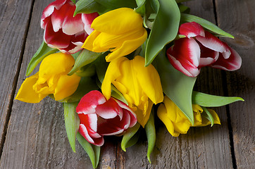 Image showing Spring Tulips