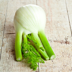 Image showing fresh organic fennel