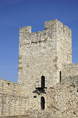 Image showing Despot Stefan Tower