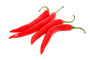 Image showing Hot chili pepper