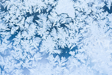 Image showing Frost pattern