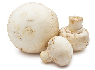 Image showing Champignon mushrooms