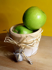 Image showing gardening: apples
