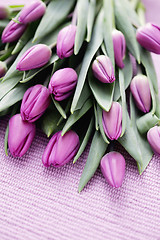 Image showing tulips