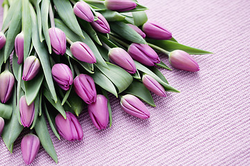 Image showing tulips