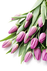 Image showing tulips