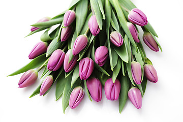 Image showing tulips