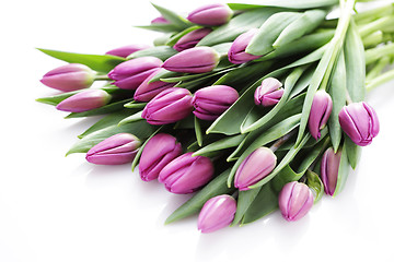 Image showing tulips