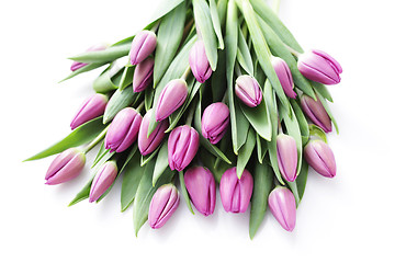 Image showing tulips