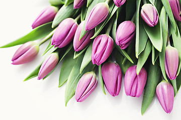 Image showing tulips