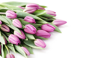 Image showing tulips