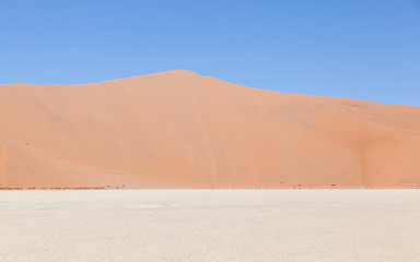 Image showing View over the deadvlei with the famous red dunes of Namib desert