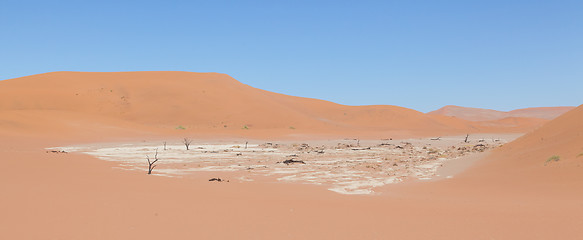 Image showing View over the deadvlei with the famous red dunes of Namib desert