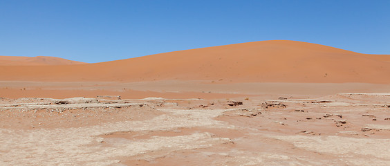 Image showing View over the deadvlei with the famous red dunes of Namib desert