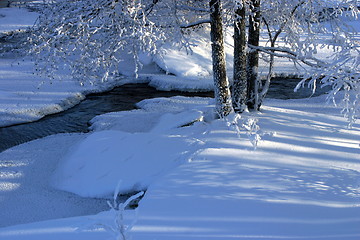 Image showing Winter