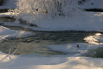 Image showing Winter