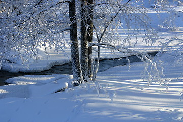 Image showing Winter