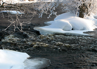 Image showing Winter