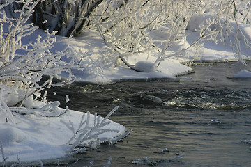 Image showing Winter