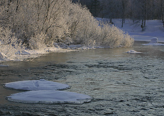 Image showing The winter river