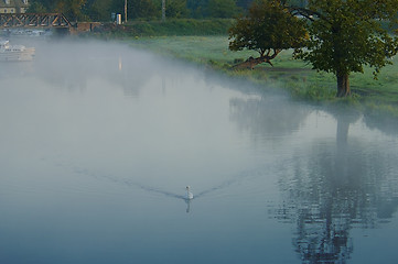 Image showing Peaceful riverside