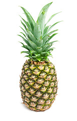 Image showing Pineapple