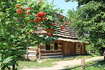 Image showing red guelder-rose besides an old rural house