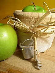 Image showing gardening: apples