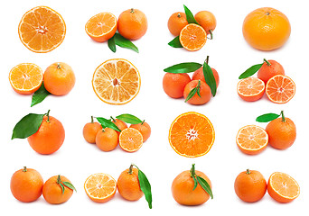 Image showing Mandarins