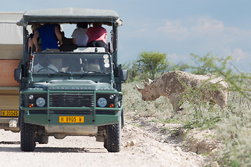 Image showing ETOSHA, NAMIBIA, 31 dec 2013 - Black rhinoceros photographed by 