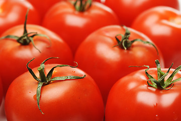 Image showing Tomatoes