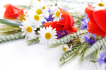 Image showing field flowers