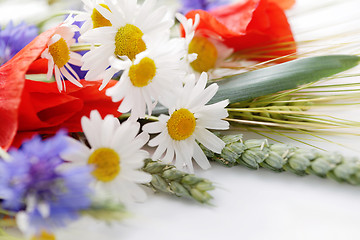 Image showing field flowers