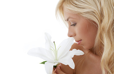 Image showing madonna lily blond